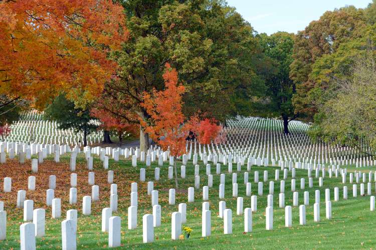 Washington Arlington